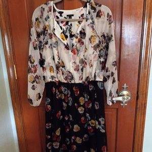 Ann Taylor 2 Tone Chiffon Lined Dress